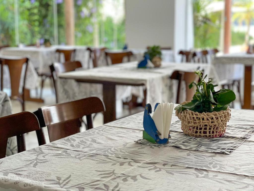 אובטובה Hotel & Cassino Sol E Vida מראה חיצוני תמונה